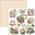 Ciao Bella Flower Shop 6x6 Inch Fussy Cut Pad (24pcs) (CBQE077)